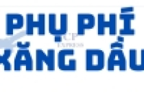 PHỤ PHÍ NHIÊN LIỆU THÁNG 8/2024